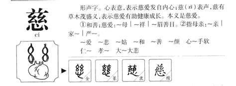 慈字五行|慈的意思，慈字的意思